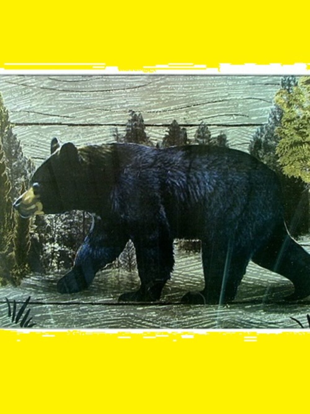 Bear Scene 17 3/4" wide by 12" tall Tempered Glass Cutting Board / Hot Pad 60049